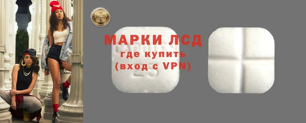 apvp Инта