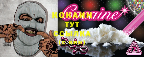 apvp Инта