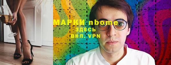 apvp Инта
