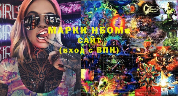 apvp Инта