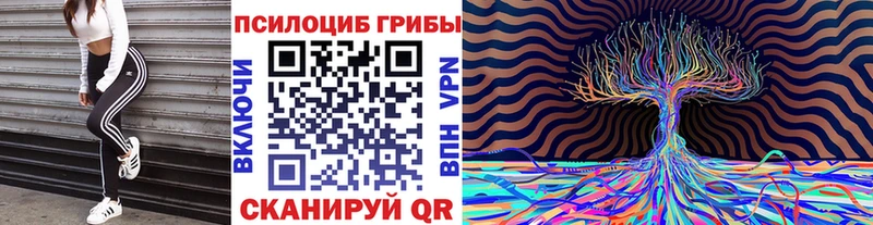 Купить закладки  Норильск  Псилоцибиновые грибы прущие грибы 